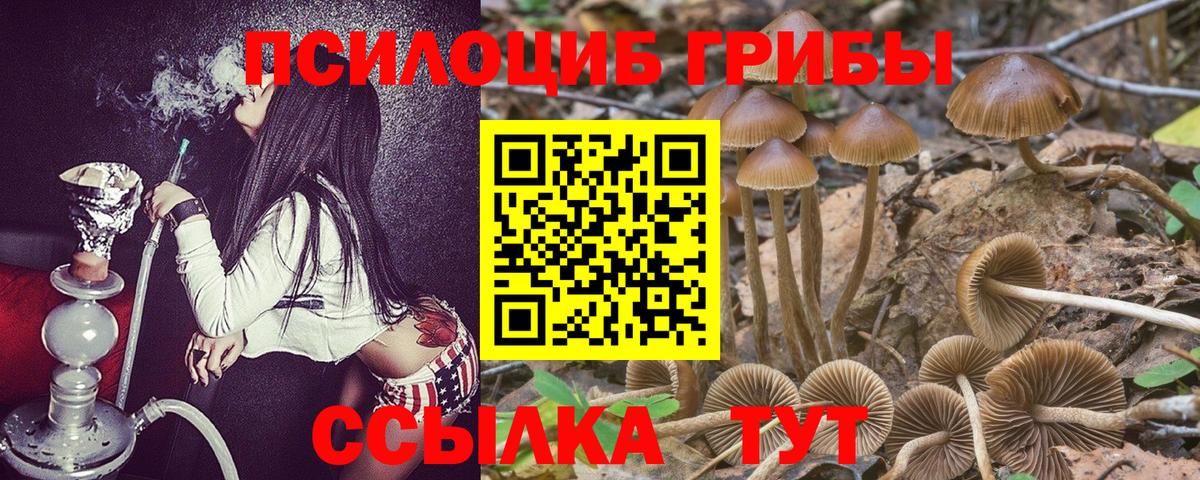 что такое   Вход с VPN  Новосибирск  Галлюциногенные грибы ЛСД 