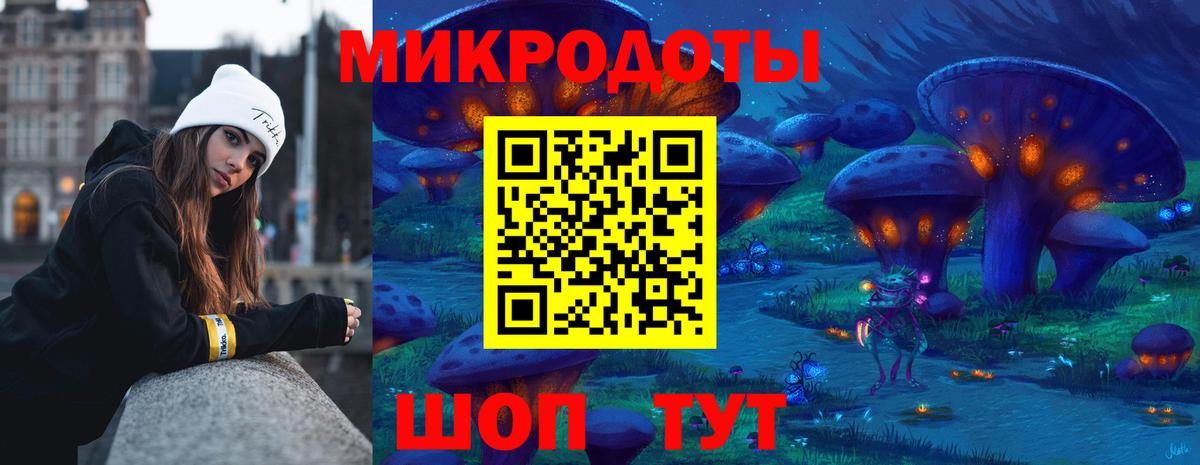 Псилоцибиновые грибы Psilocybe Новосибирск